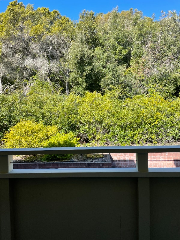 Building Photo - 3224 Palos Verdes Ct