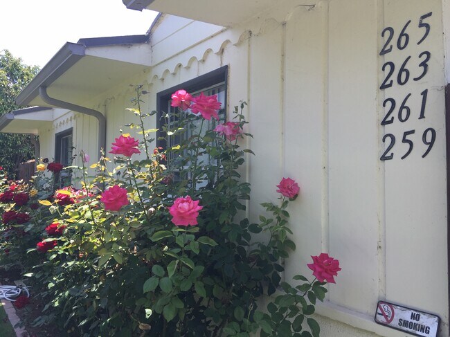 259 front yard windows - 259 Florence N St