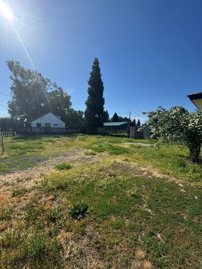 Foto del edificio - 3 bed 1 bath with large back yard - ONE SMALL PET CONSIDERED!