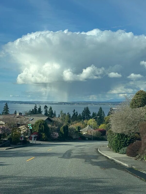 Foto principal - 5111 23rd Ave W