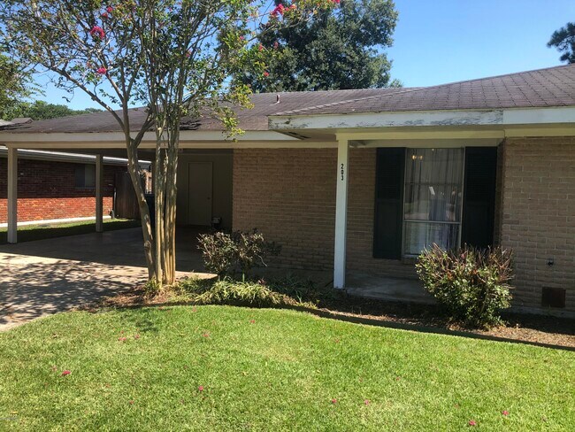 Foto del edificio - 203 Elmwood Dr