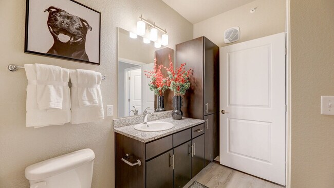 Foto del edificio - Springs at Stadium Village