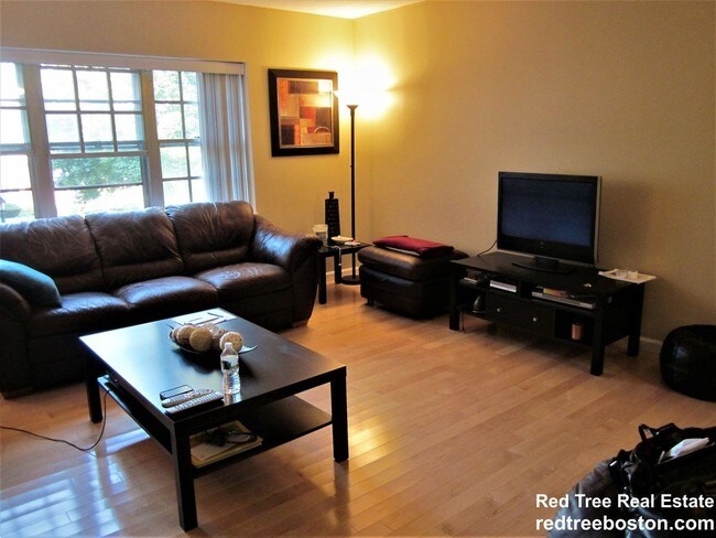 Foto del edificio - 3 bedroom in Brighton MA 02135