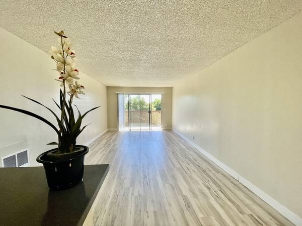 Building Photo - Bel Tempo Aparments