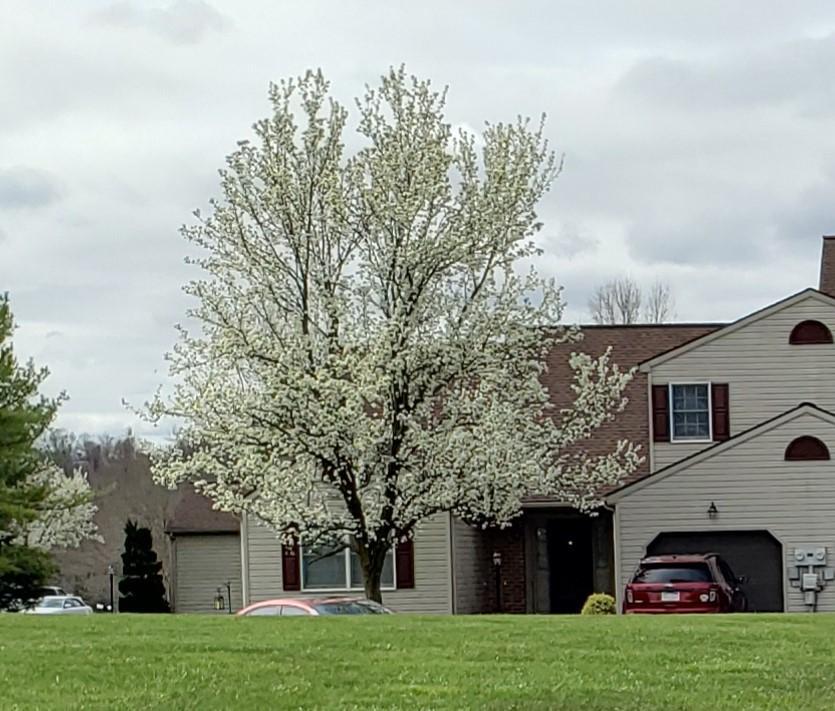 36 Alfred Dr, Lewisberry, PA 17339 House Rental in Lewisberry, PA