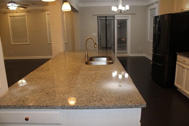 Gran isla de cocina - 2940 Furlong Ct