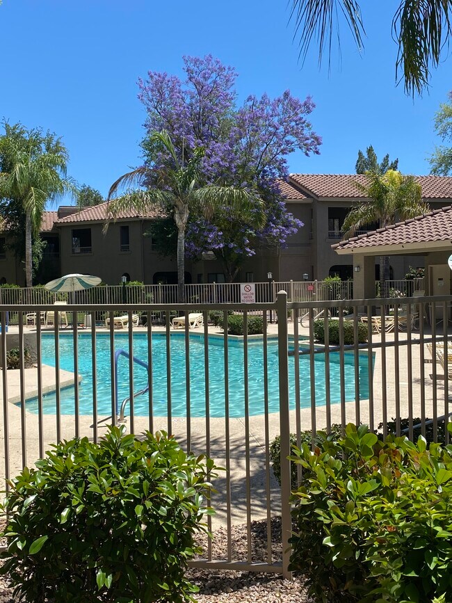 15225 N 100th St Unit 2190, Scottsdale, AZ 85260 Condo for Rent in