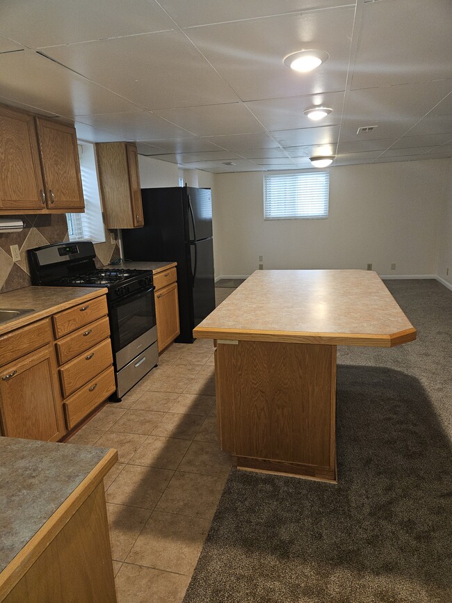 Kitchen/living area - 1602 W Gaylawood Cir