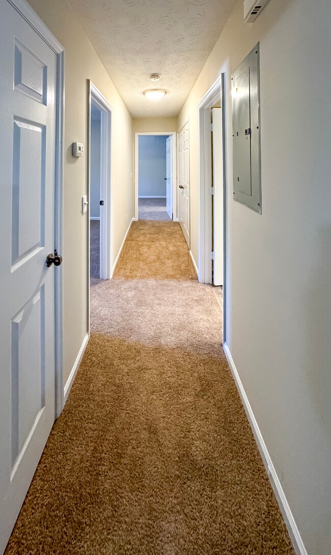 Hallway - Brittwood