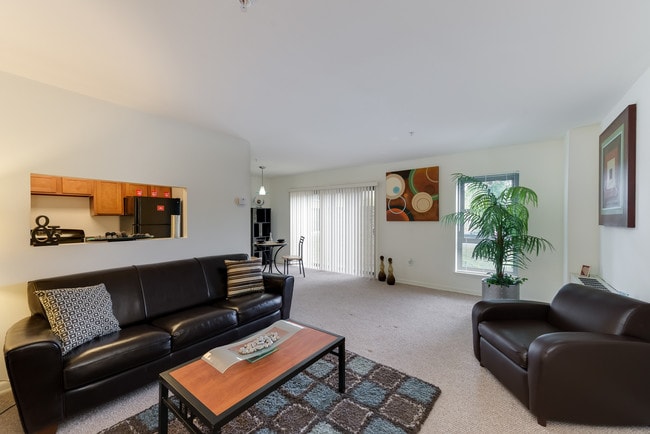 Arbor College Park - Arbor College Park Apartments