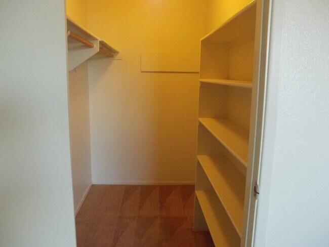 Walk in closet - 3555 S Stober Blvd