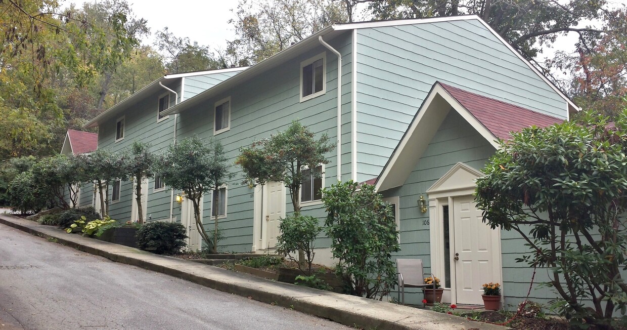 11 Long St Unit 104, Asheville, NC 28804 Condo for Rent in Asheville