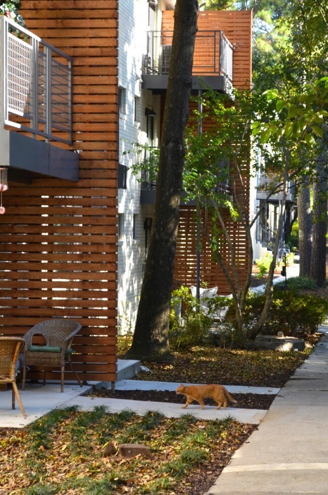 Ansley Forest Rentals Atlanta, GA