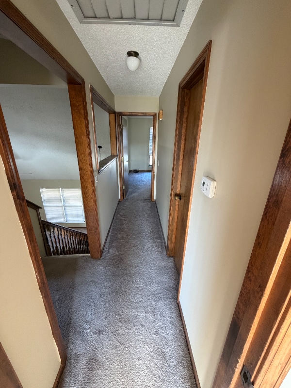 Building Photo - 109 Cora Dr