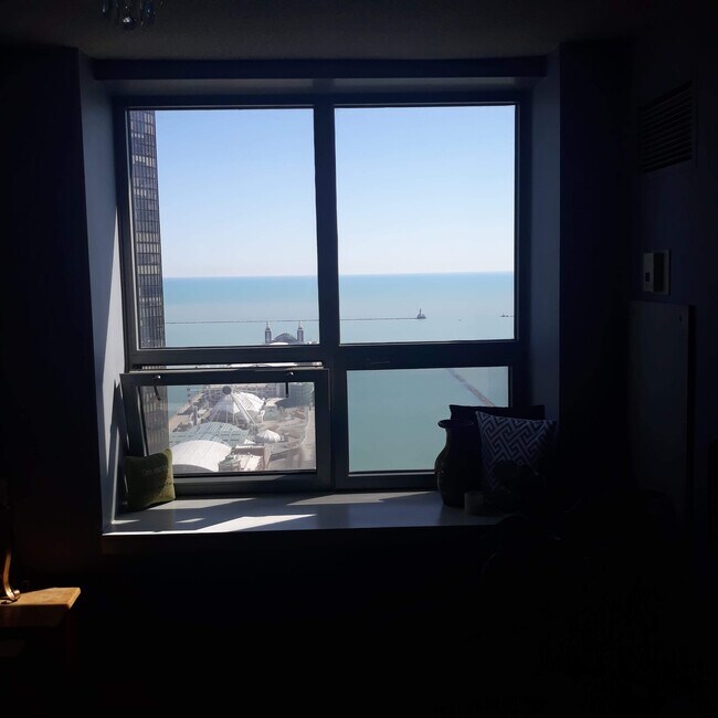 View out of 2nd Window - 474 N Lake Shore Dr