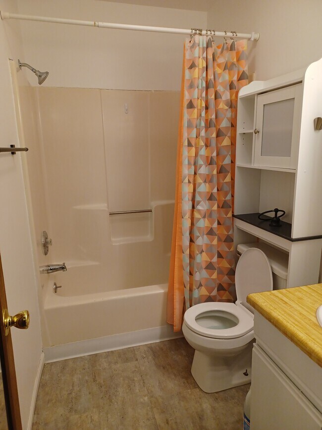 209 Bathroom - 209 N Maxwell St