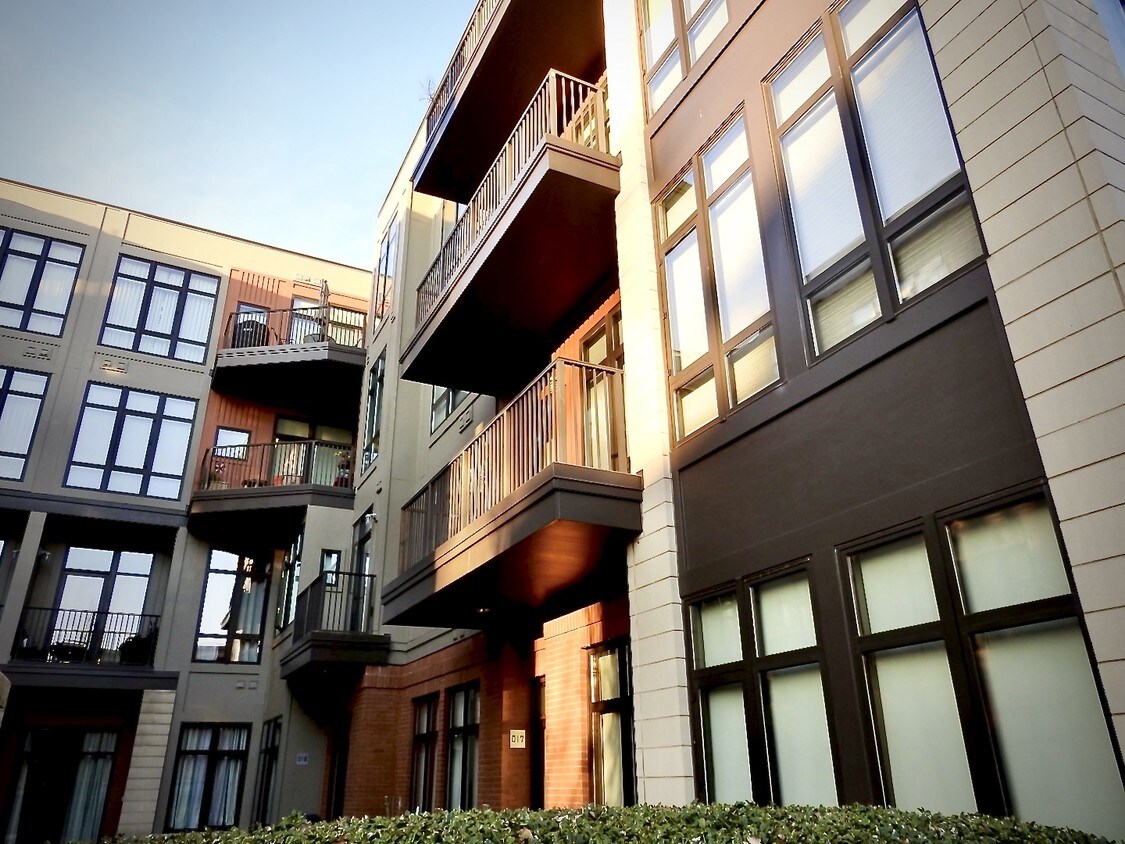 129 Walnut St, Chattanooga, TN 37402 Condo for Rent in Chattanooga