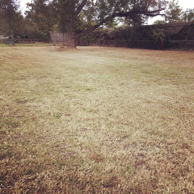 Foto del edificio - BEAUTIFUL 3/1 HOME ON HUGE DOUBLE LOT