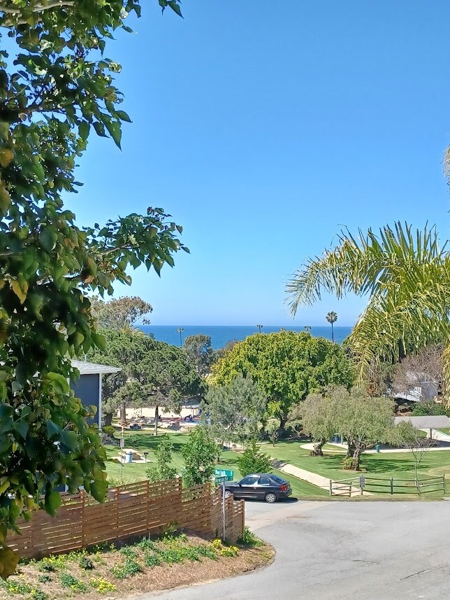 View from the porch - 2319 Newcastle Ave