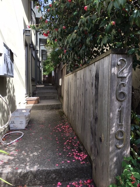 walkway to front door - 2619 Etna St