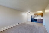 Located at Verde Dr in Colorado Springs, CO, this one-bedroom, one-bathroom unit offers a practical and efficient single-floor layout. The open living area is finished with plush carpeting and neutral-toned walls, creating a clean, understated atmosphere. A ceiling fan adds comfort, while baseboard heating runs throughout. The living space transitions seamlessly toward the front entry, which features hard-surface flooring and a well-lit overhead fixture.

The kitchen is positioned adjacent to the living area and is equipped with warm-toned wood cabinetry, light countertops, and a full suite of black appliances including a refrigerator, dishwasher, and electric range. Light wood-look flooring ties the kitchen area together and contrasts nicely with the carpeted living spaces.

The bedroom offers a cozy, carpeted retreat with a large window fitted with vertical blinds, allowing natural light to filter in. A wall-mounted HVAC unit provides individualized climate control, and the room includes closet access for storage.

The bathroom is clean and straightforward, featuring a full tub-shower combination with white tile surround, a toilet, and a mirror with a towel bar. The unit also benefits from three closets total, offering ample storage throughout.
