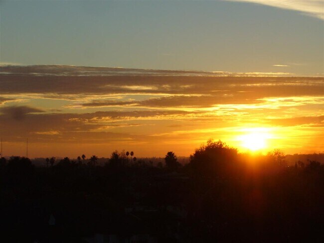 View from the roof - The West Olympic Apartments