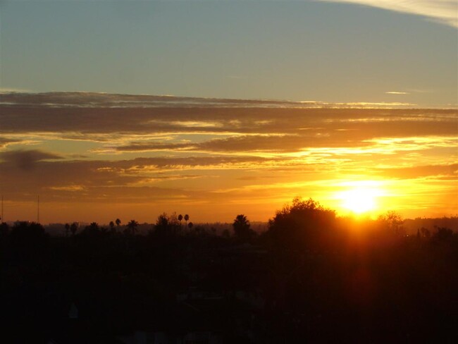 Vista desde la azotea - The West Olympic Apartments