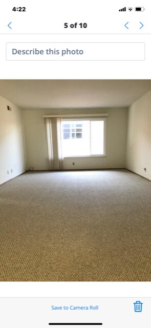 Living Room - 807 Laurel Ave