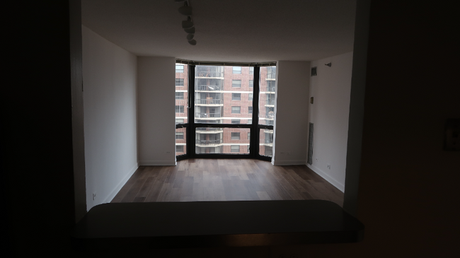 Building Photo - 1111 N Dearborn St