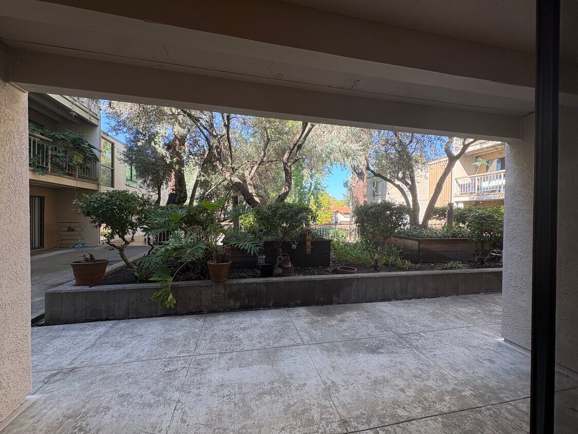 Mirador de espacios verdes desde tu Patio - 350 N Civic Dr