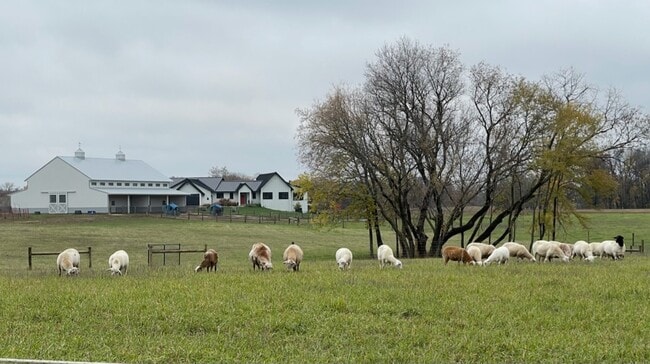 Building Photo - 7676 County 17 Blvd Building Photo - 7676 County 17 Blvd