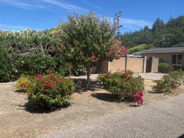 Front Yard - 3751 Mosswood Dr