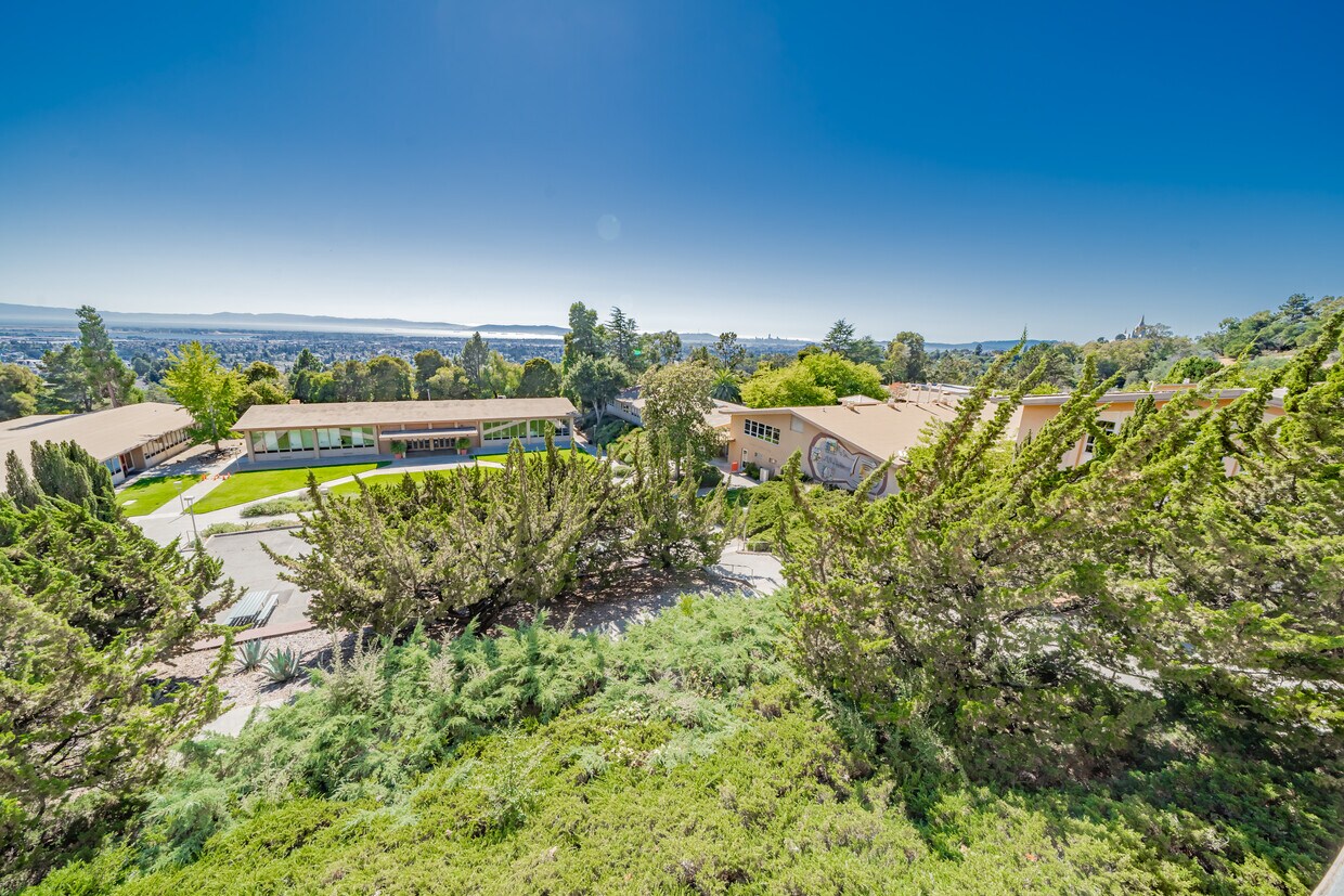 Stunning Views of The Ocean and City Skyline! - The Dorms at Woodminster Terrace