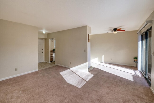Building Photo - 4208 Ave Palermo