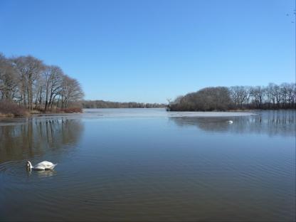 Foto del edificio - 297 Head of Pond Rd