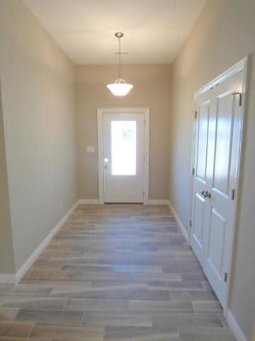 Building Photo - 4208 Steinbrooke Terrace