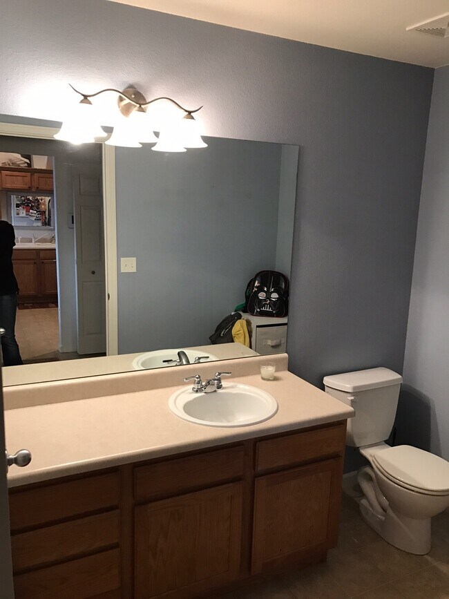 1st Floor Bathroom - 3329 Apple Blossom Ln