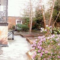 The Courtyard in bloom - 1901-1911 E Lombard St