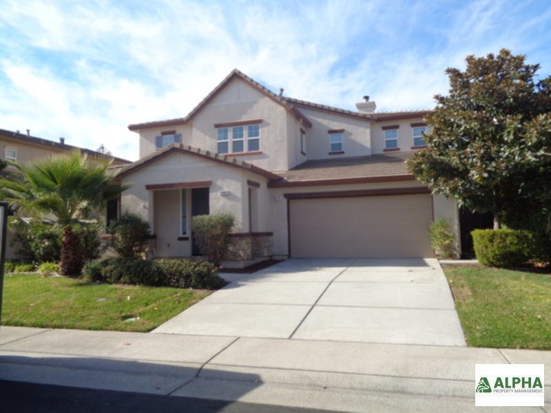 Primary Photo - New paint , flooring , blinds . Fence is i...