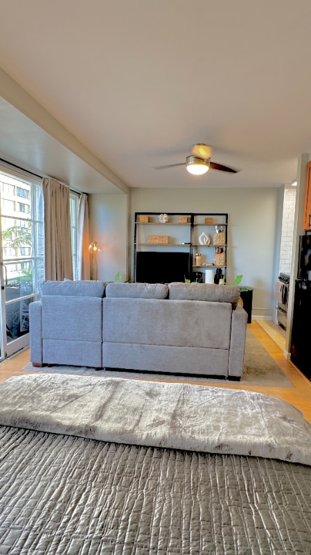 Building Photo - 445 Kaiolu St