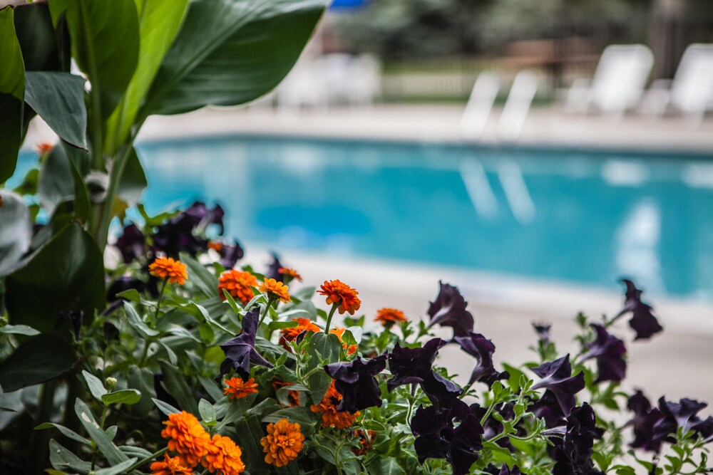 Eastwood Village Apartments Clinton Township, MI