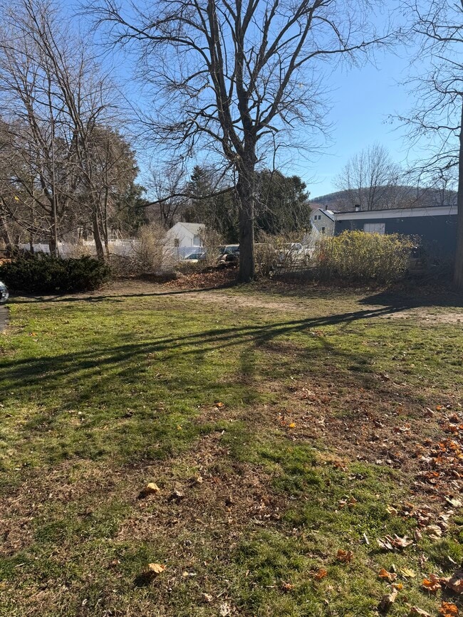 Back yard - 15 Parsons St