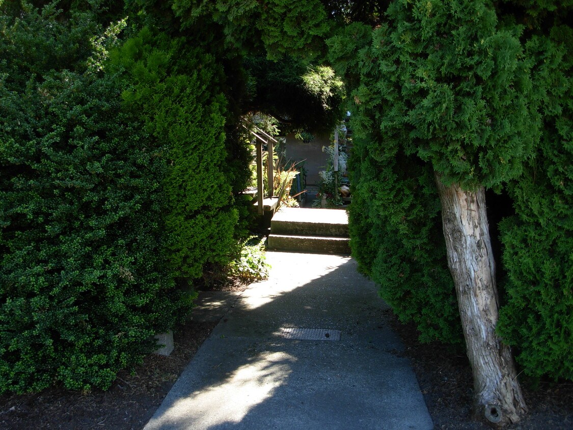Entrance - 5446 Fauntleroy Way SW