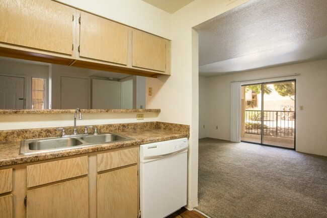 Kitchen with a dishwasher and plenty of counter space open to the living room area - Rio Volcan