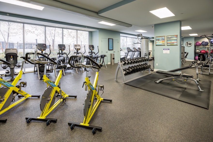 Postmark Apartments Rentals Stamford, CT