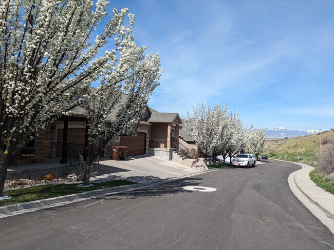 Camino frente a casa - 1398 E Meadow Valley Dr