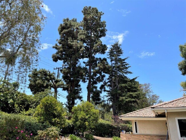 Building Photo - 6 Singletree Ln