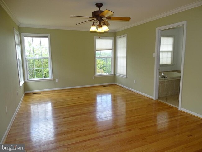Foto del edificio - 213 Silverbell Ct
