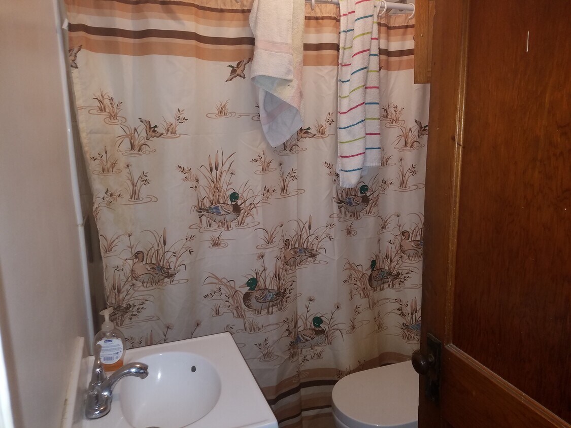 bathroom - 453 Gold St