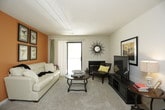 This single-floor space presents an opportunity for comfortable living or working on one cohesive level, eliminating the need for stairs and keeping all areas easily accessible. Without additional details regarding the specific rooms, dimensions, or architectural features, a more comprehensive description of the layout and design elements is not available at this time. To provide a fuller picture of the space — including details about natural light, ceiling heights, room configurations, outdoor access, and overall ambiance — additional information would be needed. What is clear is that the single-story design offers a practical and functional flow, a characteristic often appreciated for its ease of movement and accessibility throughout. Whether the space features an open-plan layout or defined individual rooms, the single-floor arrangement typically lends itself well to a connected, unified feel across all areas. Further details about the architectural style, finishes, and standout features would allow for a richer and more informative portrayal of what this space has to offer.